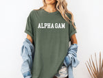 Alpha Gamma Delta Heavyweight Short Sleeve T-shirt - Alpha Gam Comfort Colors Sorority Tee
