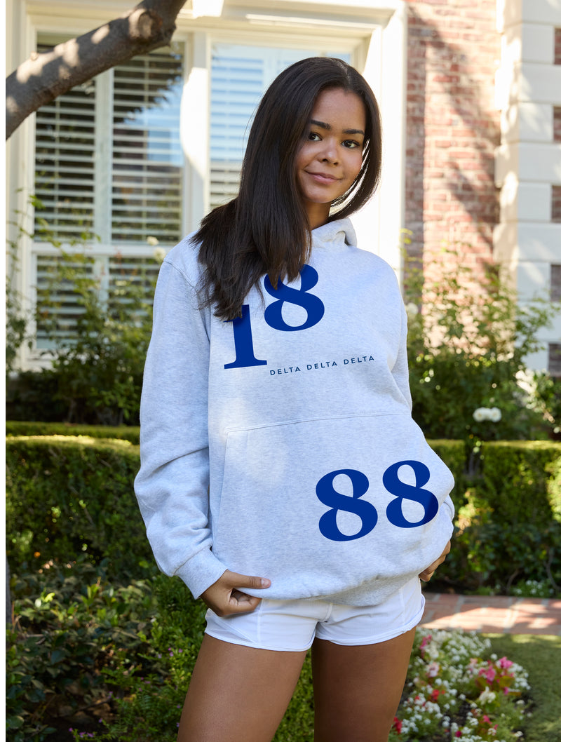 Delta Delta Delta lululemon Steady State Pullover Hoodie - 1888