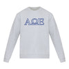 Alpha Omega Epsilon lululemon Steady State Crew