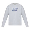 Delta Gamma lululemon Steady State Crew