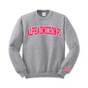 Alpha Omicron Pi Varsity Letters Crewneck