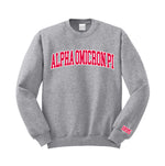 Alpha Omicron Pi Varsity Letters Crewneck