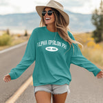 Alpha Epsilon Phi Long Sleeve Vintage T-Shirt
