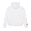 Alpha Omicron Pi 1897 Avenue Pullover Hoodie