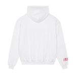 Alpha Omicron Pi 1897 Avenue Pullover Hoodie