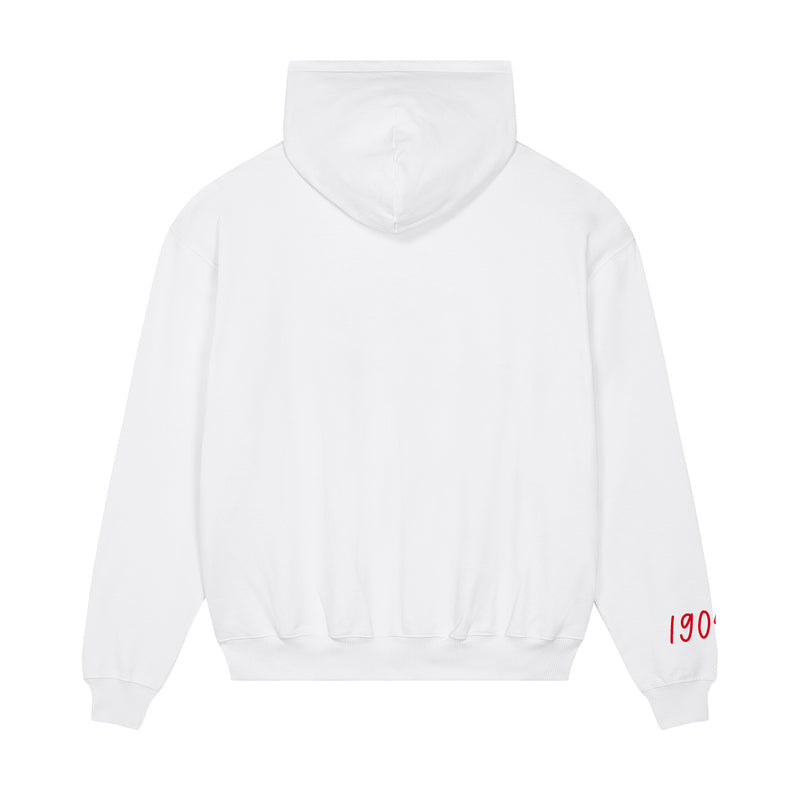 Alpha Omicron Pi 1897 Avenue Pullover Hoodie