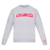 Alpha Gamma Delta lululemon Steady State Crew