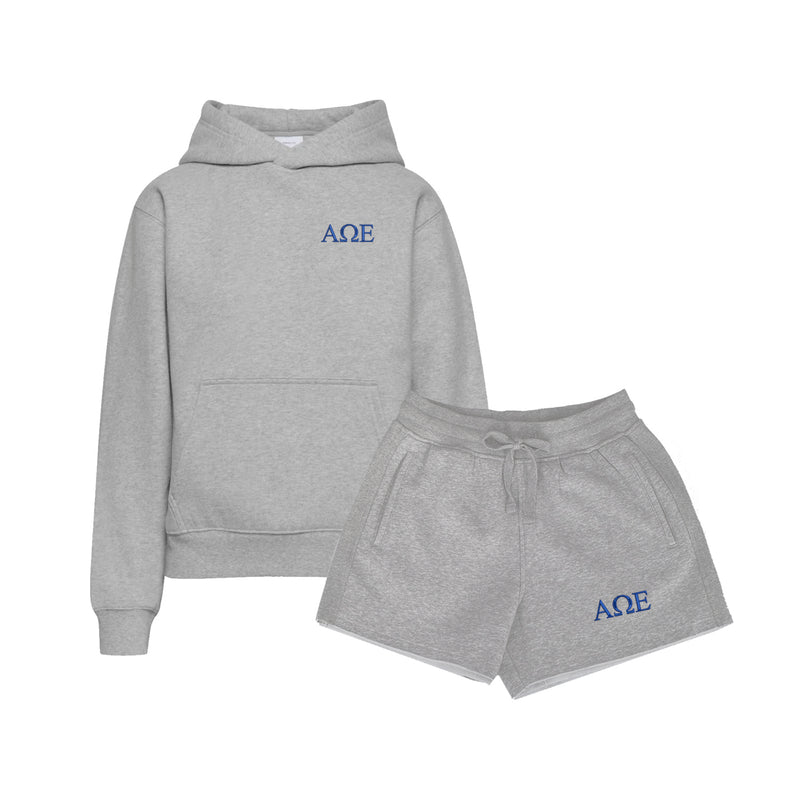 Alpha Omega Epsilon Fave Fit Hoodie