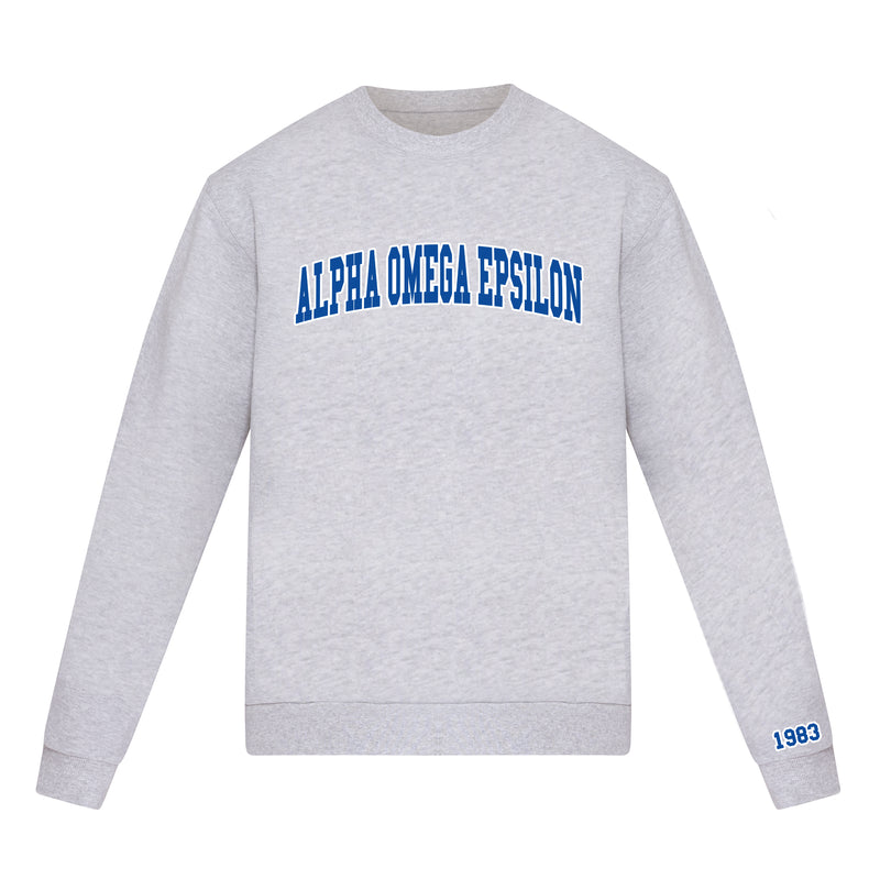 Alpha Omega Epsilon lululemon Steady State Crew