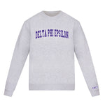 Delta Phi Epsilon lululemon Steady State Crew