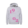 Delta Zeta lululemon Steady State Pullover Hoodie - 1902