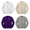 Phi Delta Epsilon Embroidered Crewneck - Letters