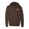 Iota Phi Theta Hooded Sweatshirt - Letters