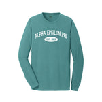 Alpha Epsilon Phi Long Sleeve Vintage T-Shirt