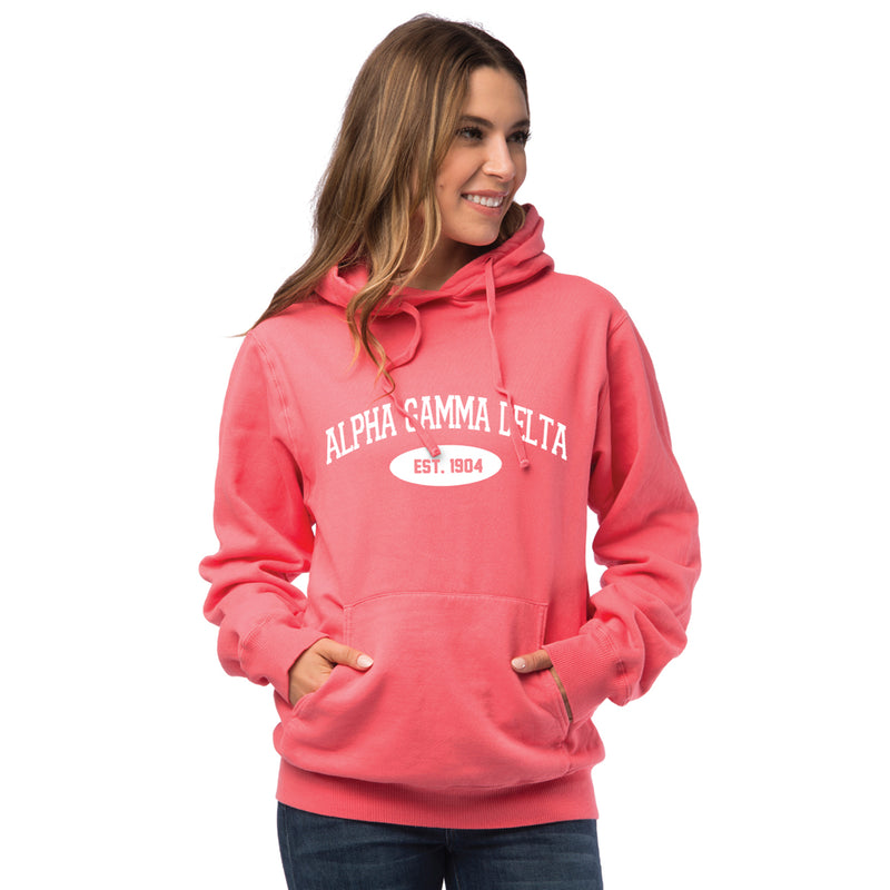 Alpha Gamma Delta Hooded Pullover Vintage Sweatshirt