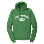Alpha Gamma Rho Hooded Pullover Vintage Sweatshirt