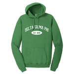 Delta Sigma Phi Hooded Pullover Vintage Sweatshirt