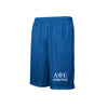 Lambda Phi Epsilon Mesh Sports Shorts