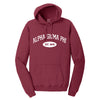 Alpha Sigma Phi Hooded Pullover Vintage Sweatshirt