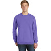 Alpha Tau Omega Beach Washed Crewneck Sweatshirt