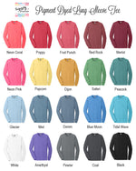 Alpha Epsilon Pi Long Sleeve Vintage T-Shirt