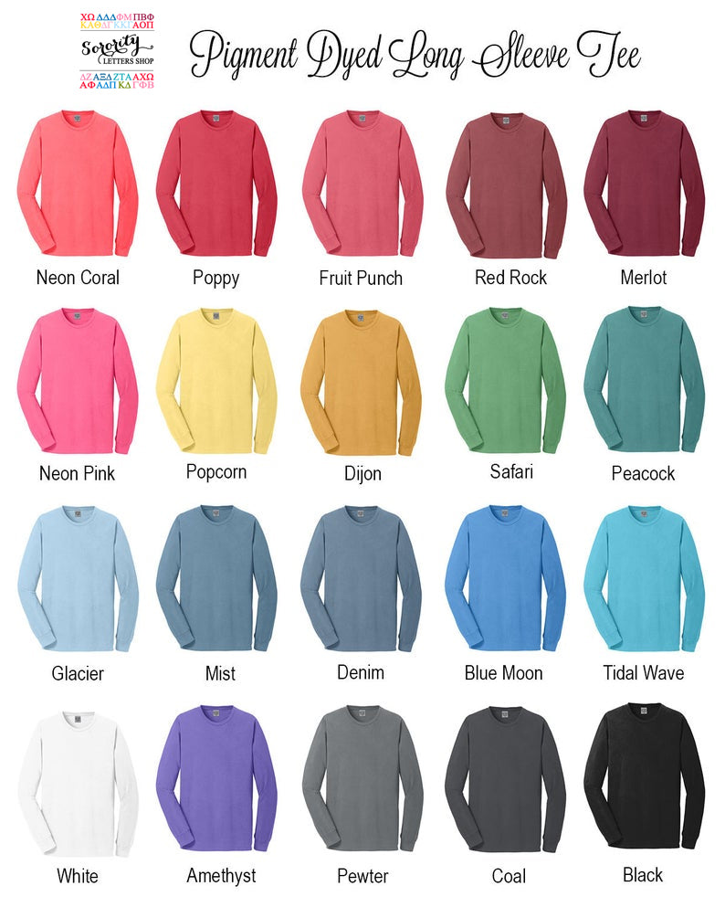 Alpha Epsilon Phi Long Sleeve Vintage T-Shirt