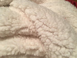 Lambda Phi Epsilon Sherpa Lined Blanket