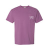 Sigma Phi Epsilon Short Sleeve Pocket Tee